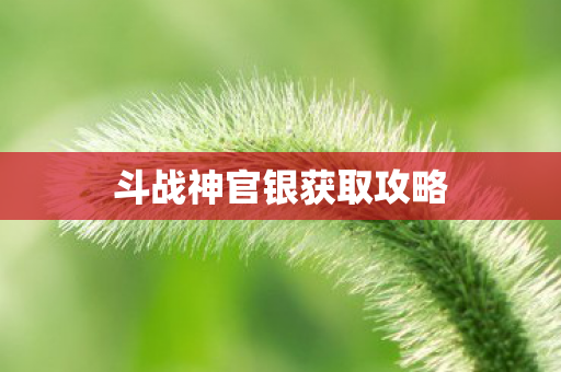 斗战神官银获取攻略图片