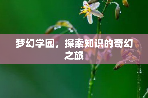 探索知识的奇幻之旅图片