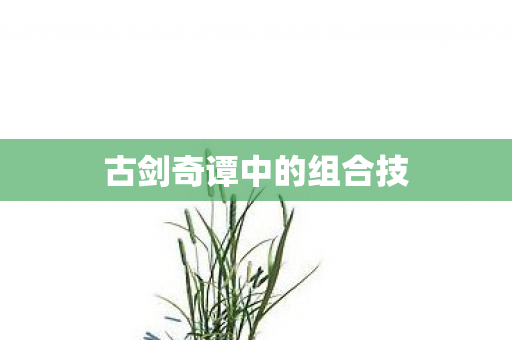 古剑奇谭中的组合技图片