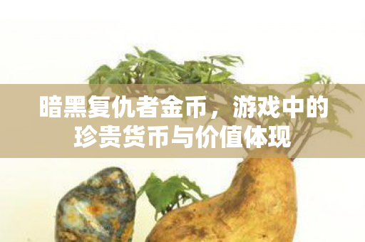 游戏中的珍贵货币与价值体现图片