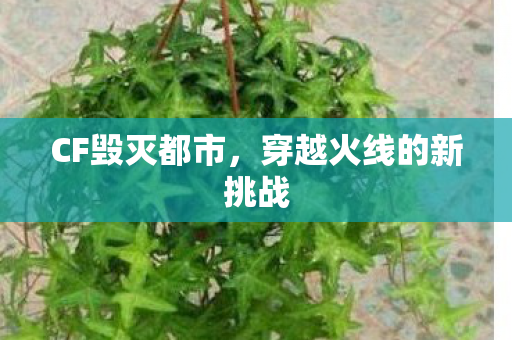 穿越火线的新挑战图片