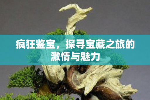 探寻宝藏之旅的激情与魅力图片