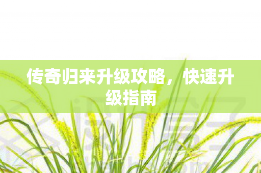 传奇归来升级攻略图片