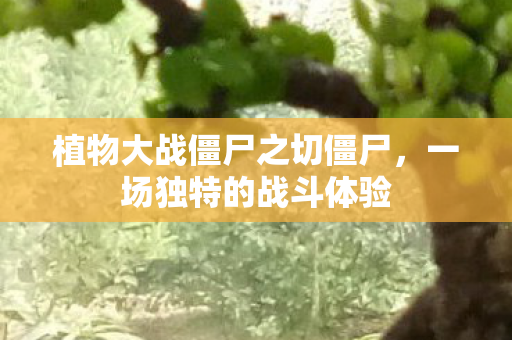 植物大战僵尸之切僵尸图片