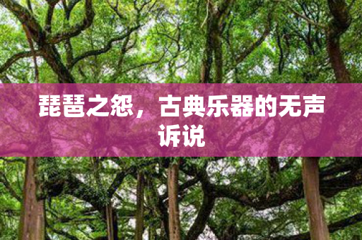 古典乐器的无声诉说图片