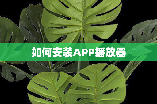 如何安装APP播放器图片