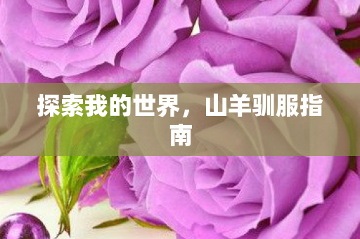 探索我的世界图片