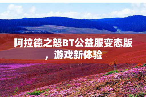 阿拉德之怒BT公益服变态版图片