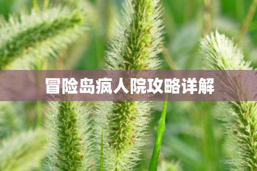 冒险岛疯人院攻略详解图片