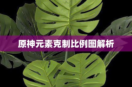 原神元素克制比例图解析图片