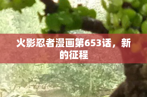 火影忍者漫画第653话图片