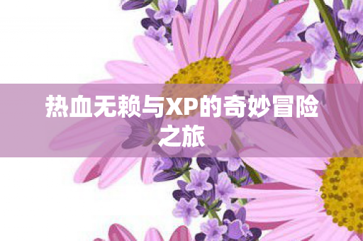 热血无赖与XP的奇妙冒险之旅图片