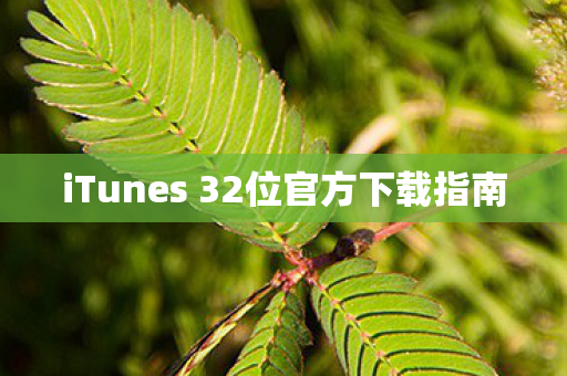 iTunes 32位官方下载指南图片