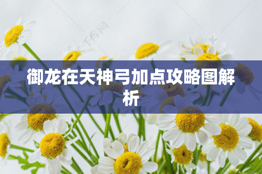 御龙在天神弓加点攻略图解析图片