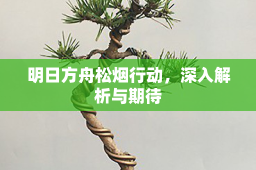 明日方舟松烟行动图片