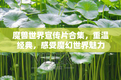 魔兽世界宣传片合集图片