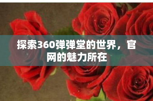探索360弹弹堂的世界图片