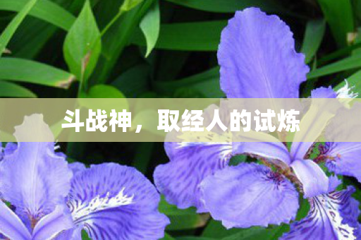 取经人的试炼图片