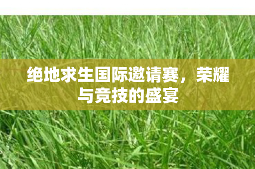 绝地求生国际邀请赛图片