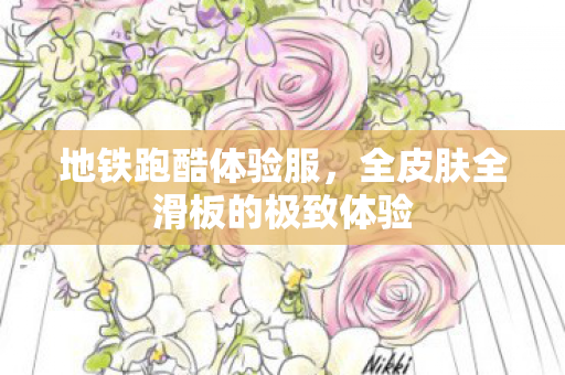 全皮肤全滑板的极致体验图片