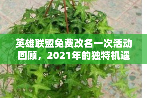 英雄联盟免费改名一次活动回顾图片