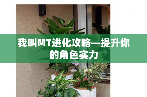我叫MT进化攻略图片