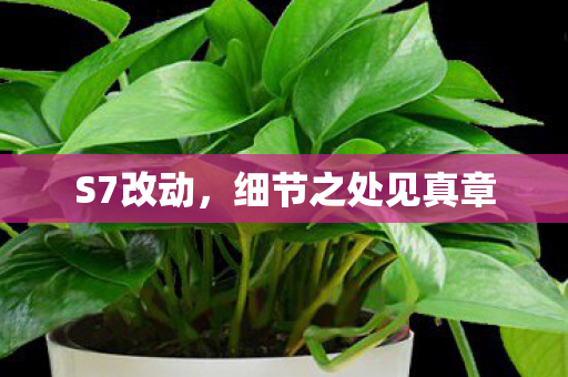 细节之处见真章图片