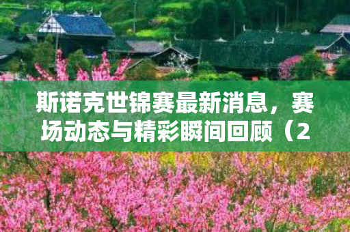 赛场动态与精彩瞬间回顾图片