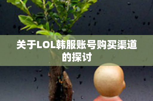 关于LOL韩服账号购买渠道的探讨图片