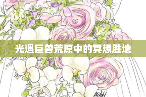 光遇巨兽荒原中的冥想胜地图片