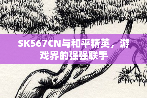SK567CN与和平精英图片