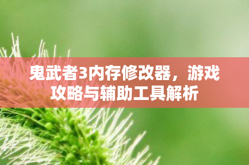 游戏攻略与辅助工具解析图片