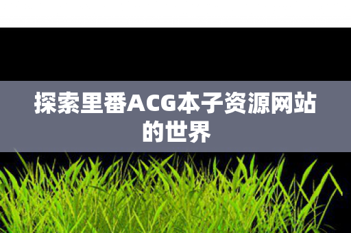探索里番ACG本子资源网站的世界图片