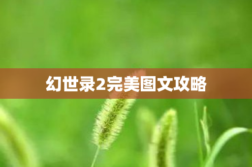 幻世录2完美图文攻略图片