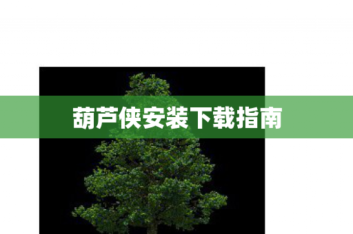 葫芦侠安装下载指南图片