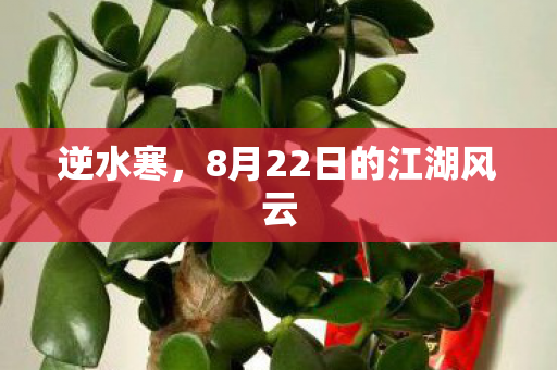 8月22日的江湖风云图片