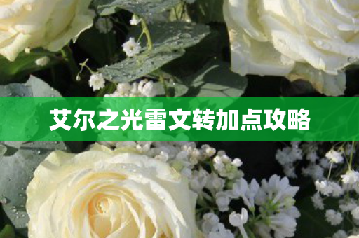艾尔之光雷文转加点攻略图片