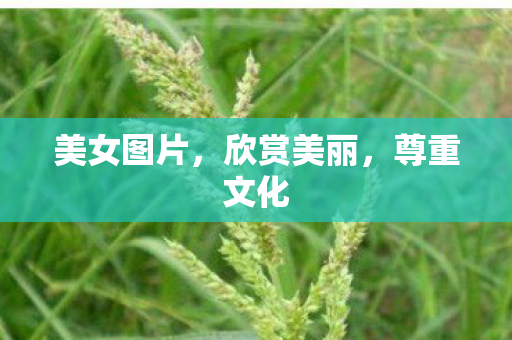 美女图片图片