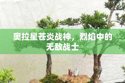 烈焰中的无敌战士图片