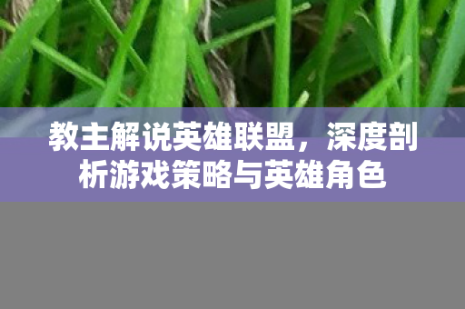 深度剖析游戏策略与英雄角色图片