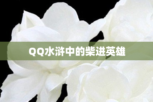 QQ水浒中的柴进英雄图片