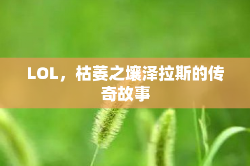 枯萎之壤泽拉斯的传奇故事图片