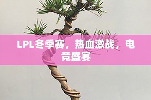 LPL冬季赛图片
