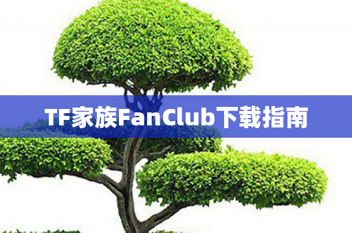 TF家族FanClub下载指南图片