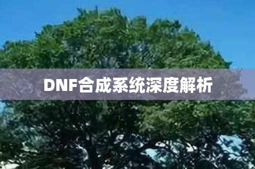 DNF合成系统深度解析图片