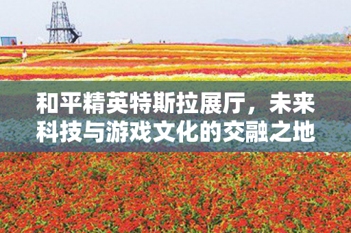 未来科技与游戏文化的交融之地图片