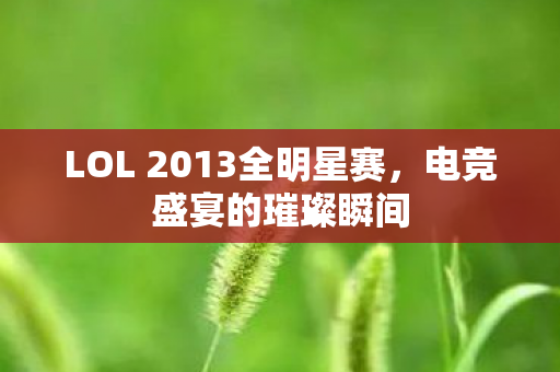 LOL 2013全明星赛图片