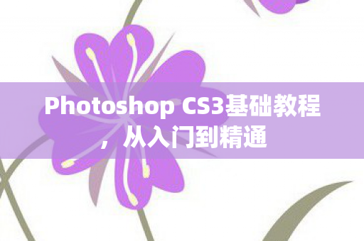 Photoshop CS3基础教程图片
