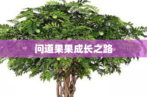 问道果果成长之路图片