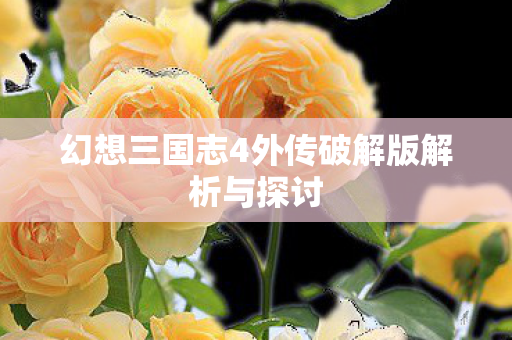 幻想三国志4外传破解版解析与探讨图片